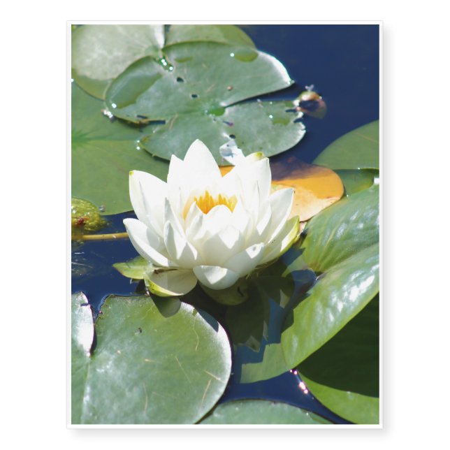 Lotus Temporary Tattoos (Front)