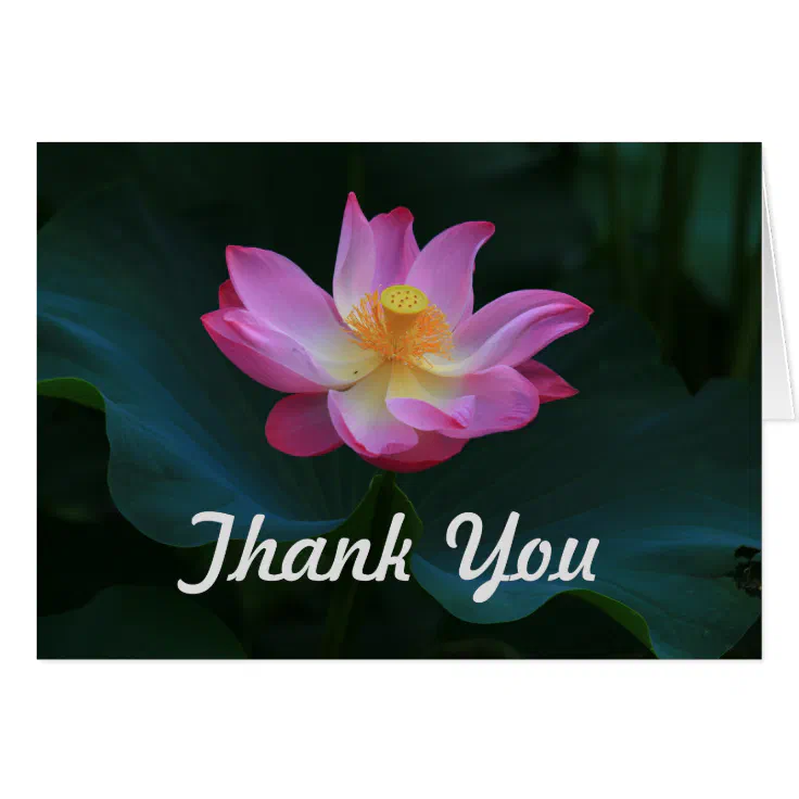 Lotus Thank You Card Horizontal Zazzle