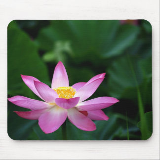 Lotus Tranquillity Mouse Pad