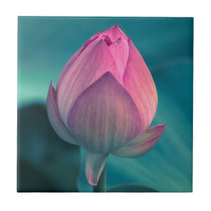 Lotus Water Lily Flower Ceramic Tile
