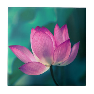 Lotus Water Lily Flower Ceramic Tile
