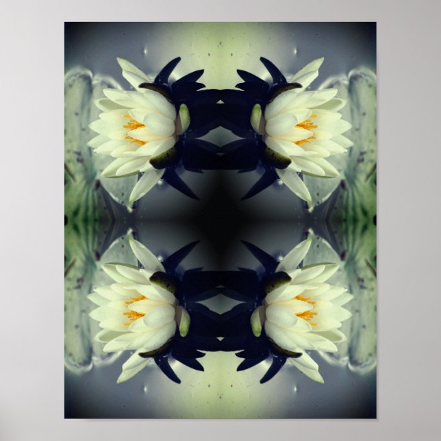 Lotus Water Lily Flower Mirror Abstract Art   Poster (Front)