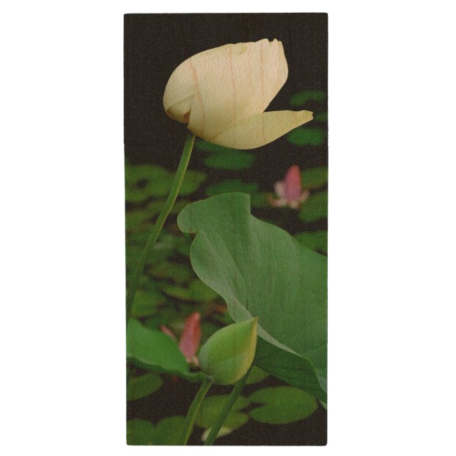 Lotus Water Lily  Wood Flash Drive (Front Vertical)