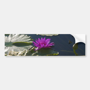 Lotus Waterlily Bumper Sticker