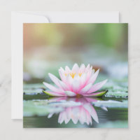 LOTUS - ZEN BUDDHISM - Greeting cards