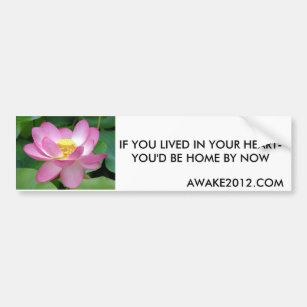 Lotusbloem, IF YOU LIVED IN YOUR HEART-YOU'D BE... Bumper Sticker