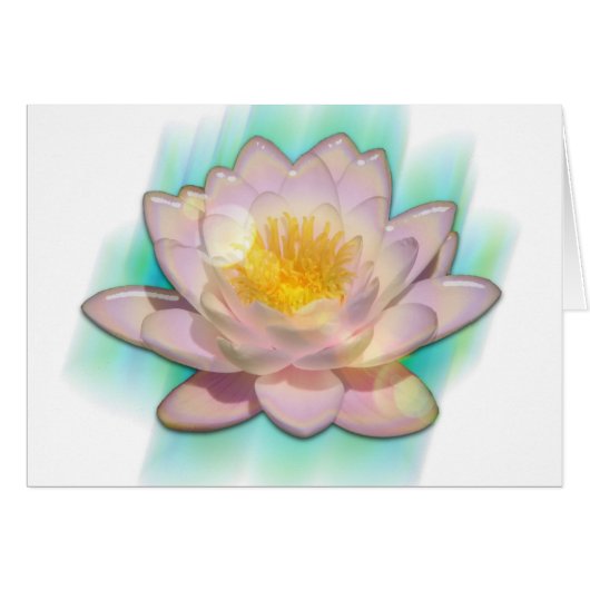 Lotusbloom Cards (Front Horizontal)