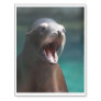 Loud Sea Lion Temporary Tattoos