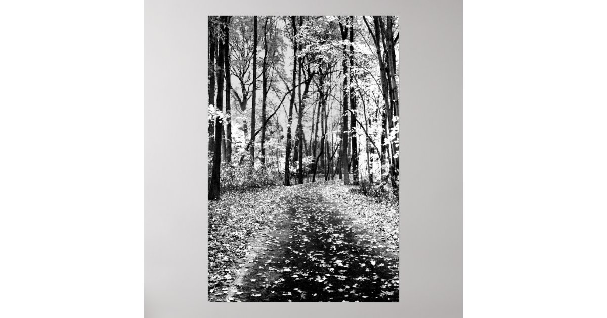 Loud Whisper Poster Zazzle