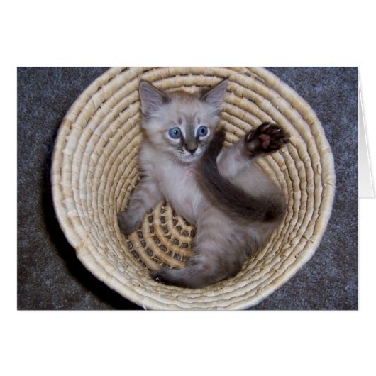 Louie Kitten Basket Antics Cards (Front Horizontal)