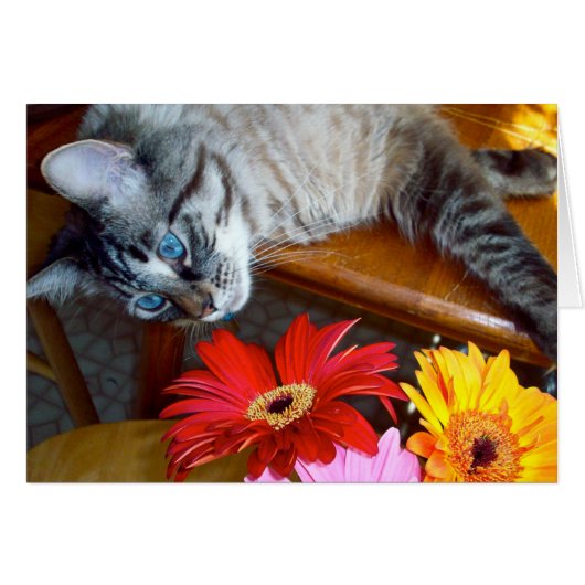 Louie's Flower Bliss (Front Horizontal)