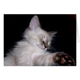 Louie's Sleepy Slumber Smile Cards