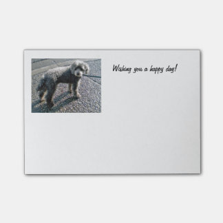 Louis the Dog Post-it Notes