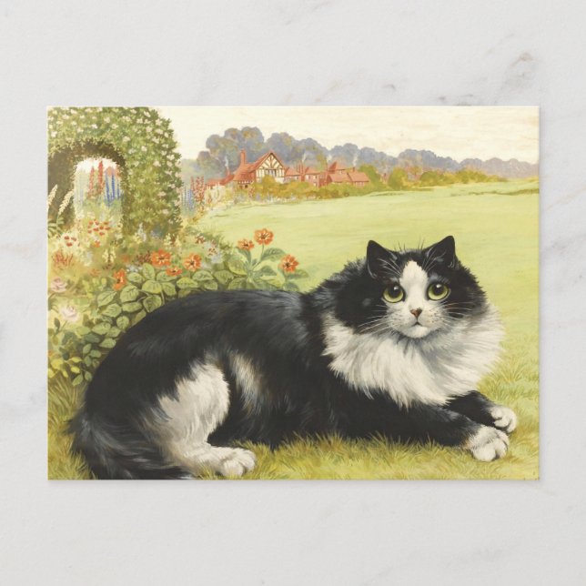 Louis Wain Black And White Cat Postcard (Front)