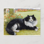 Louis Wain Cat, Black &amp; White Cat Postcard at Zazzle
