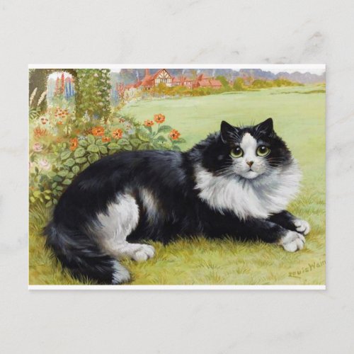 Louis Wain Cat Black  White Cat Postcard