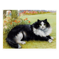 Louis Wain Cat, Black & White Cat Postcard
