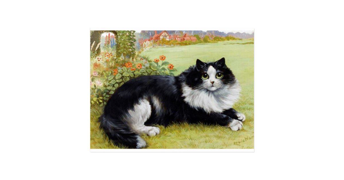 Louis Wain Cat Black White Cat Postcard Zazzle Com