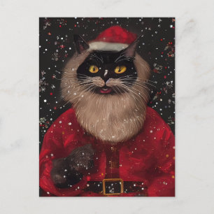 Louis Wain style Cat Santa Claus Postcard