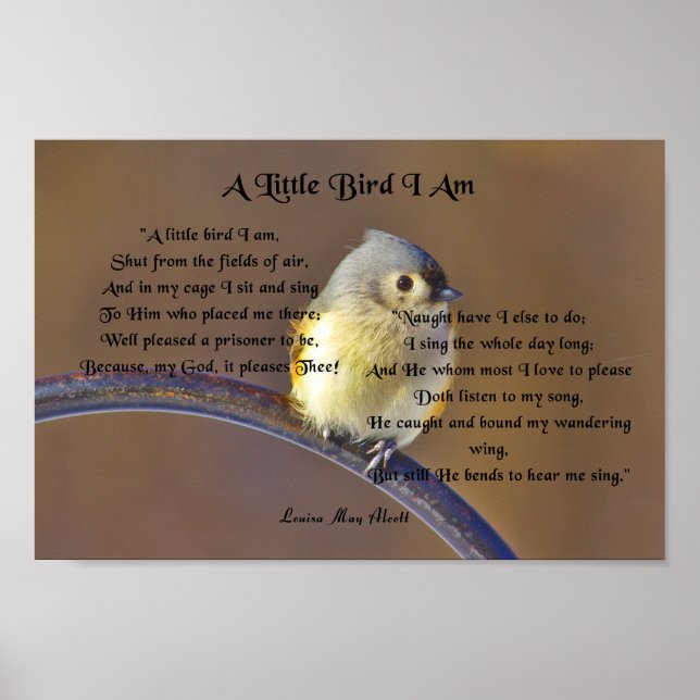 Louisa May Alcott, A Little Bird I Am Poster (Front)