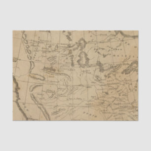 Louisiana 12 tissue paper