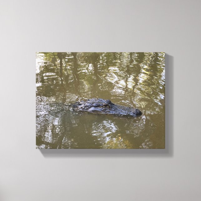 Louisiana Alligator Canvas Print (Front)