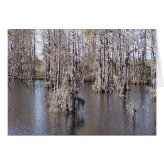 Louisiana Bayou Card