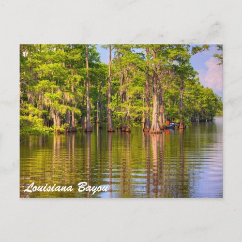 Louisiana Bayou Postcard