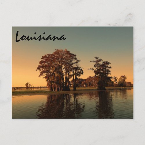 Louisiana bayou postcard