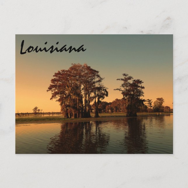 Louisiana bayou postcard (Front)