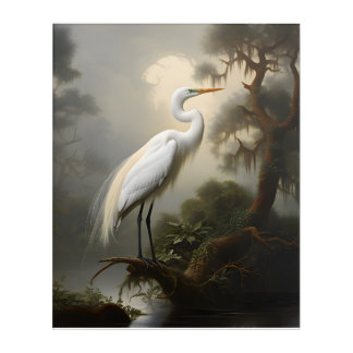 Louisiana Bayou: White Egret Acrylic Print