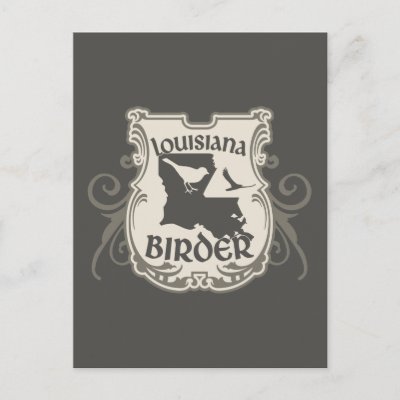 Louisiana Birder Postcard