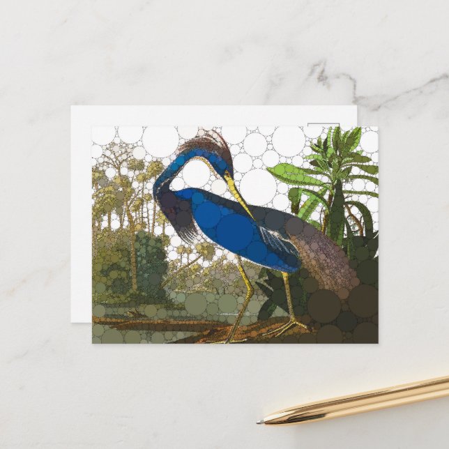 Louisiana Blue Heron by After John James Audubon Postcard (Front/Back In Situ)
