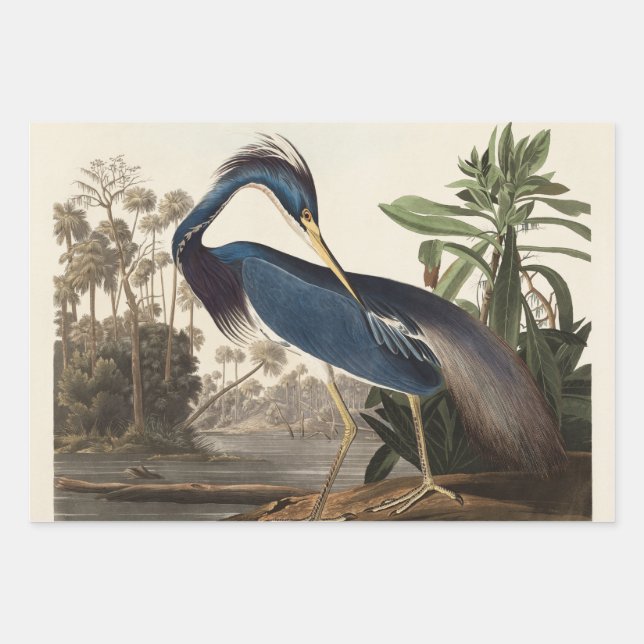 Louisiana Blue Heron by John Jay Audubon  Wrapping Paper Sheets (Front 3)