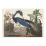 Louisiana Blue Heron by John Jay Audubon  Wrapping Paper Sheets