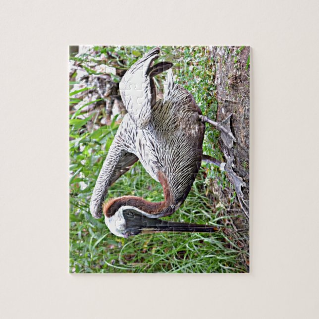 Louisiana Brown Pelican Jigsaw Puzzle (Vertical)