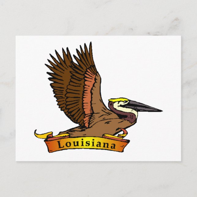 Louisiana Brown Pelican Postcard (Front)