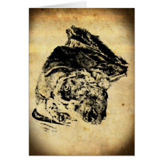 Louisiana Catahoula Leopard Dog Old Time Cards