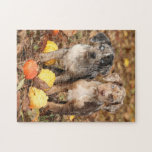 Louisiana Catahoula Puppies With Pumpkins Jigsaw Puzzle at Zazzle