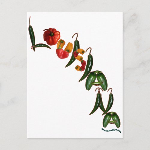 Louisiana Chili Peppers Postcard