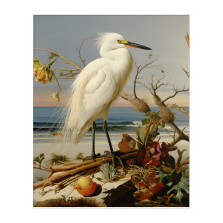 Louisiana Coast: Snowy Egret Acrylic Print