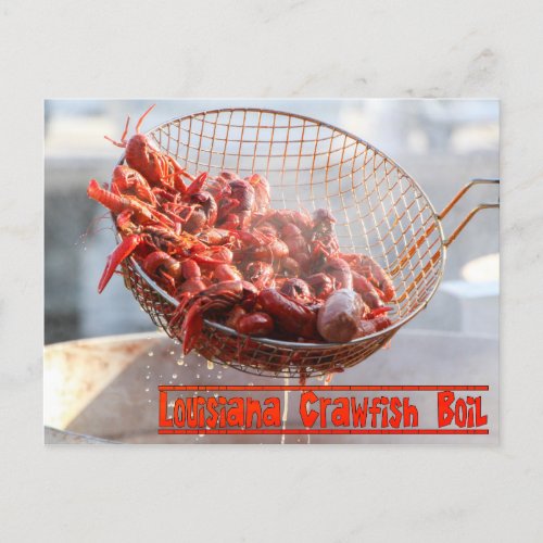 Louisiana Crawfish Boil Postcard