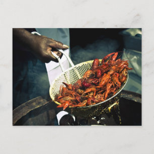 Louisiana Crawfish Postcard