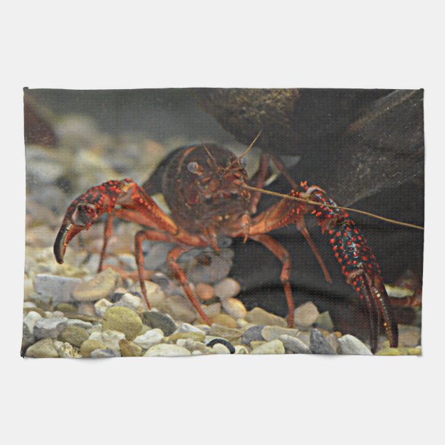 Louisiana Crawfish Towel (Horizontal)