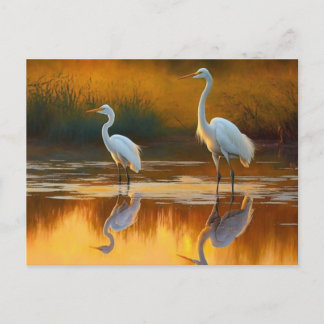 Louisiana Egret Art Postcard
