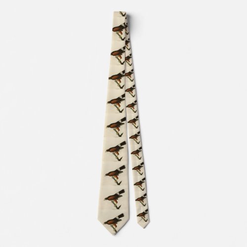 Louisiana Harriss Hawk Audubon Birds of America Neck Tie