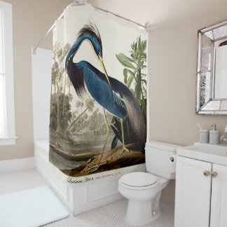 Louisiana Heron, 1834, From the Birds of America Shower Curtain