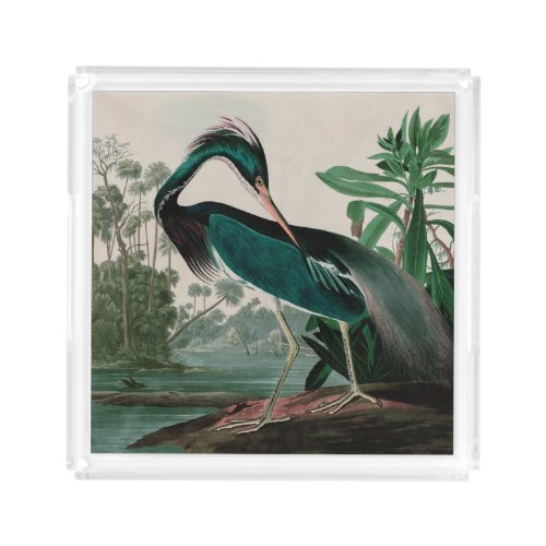 Louisiana Heron Birds of America Audubon Print Acrylic Tray