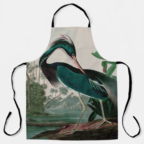 Louisiana Heron Birds of America Audubon Print Apron