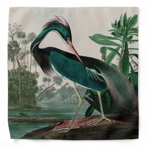 Louisiana Heron Birds of America Audubon Print Bandana